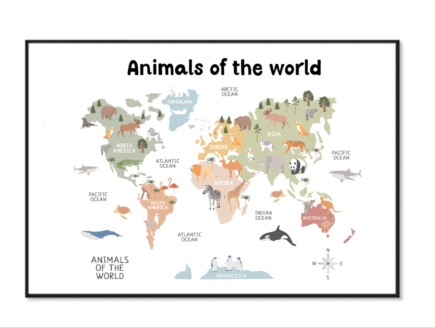 Animals Of The World A4